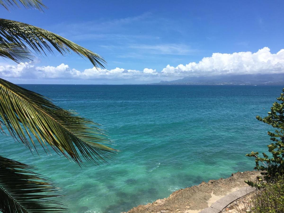 Studio En Duplex , Face A La Mer Le Gosier  Ngoại thất bức ảnh